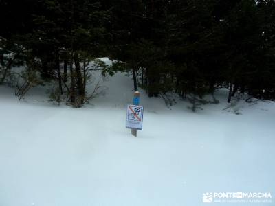 Raquetas de Nieve - Puerto de Cotos; grupos de turismo; ocio y aventura;equipo para trekking